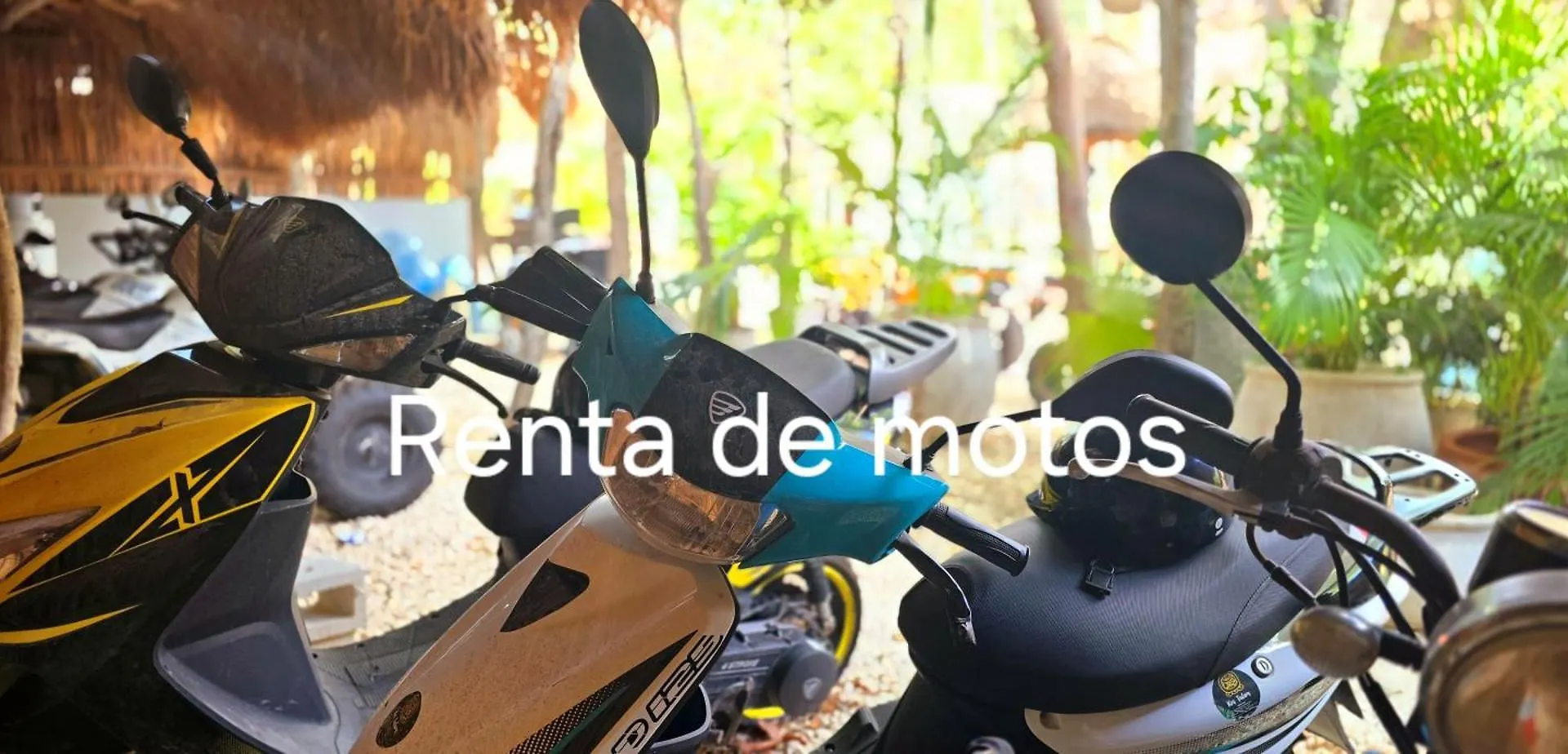 招待所 Hotel Kin Tulum Jungle Deluxe 墨西哥